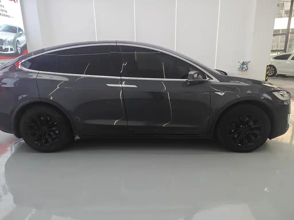 Tesla Model X — миниатюра 4