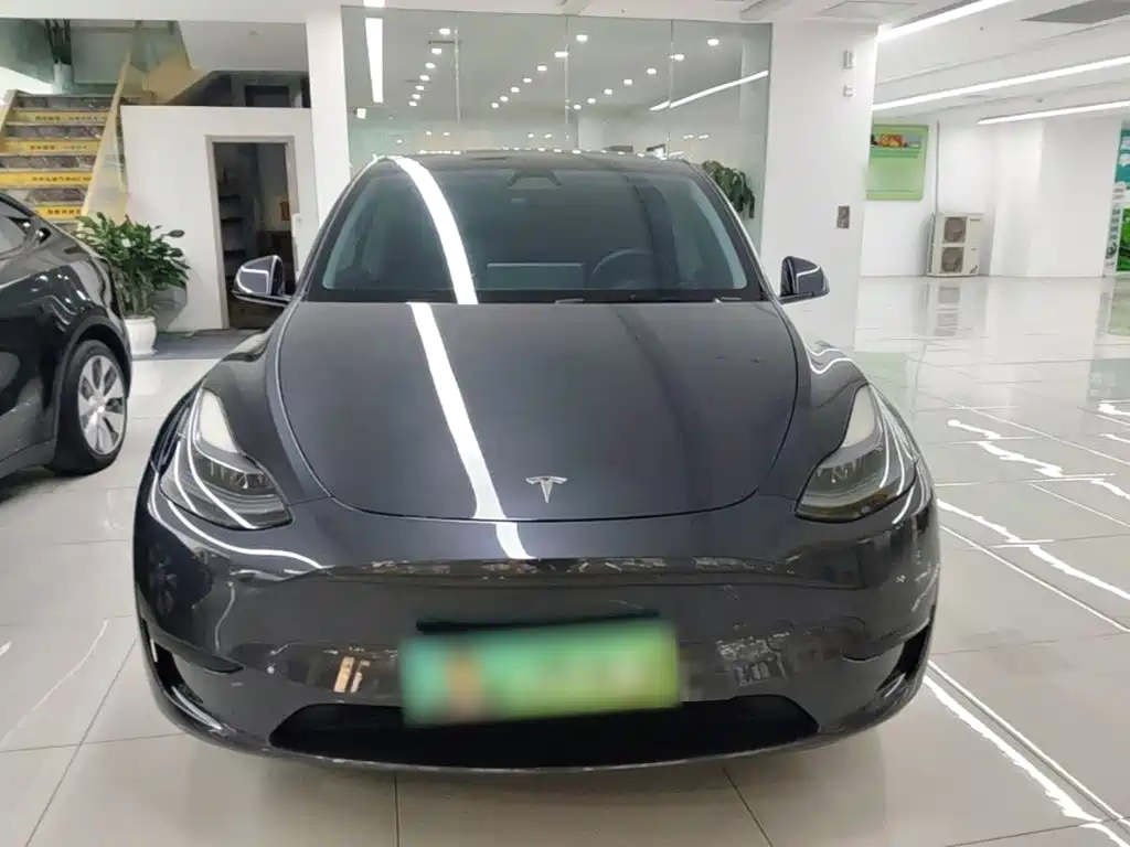 Tesla Model Y — миниатюра 3