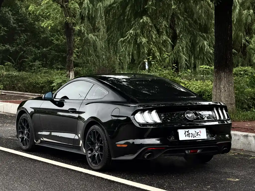 Ford Mustang — миниатюра 6