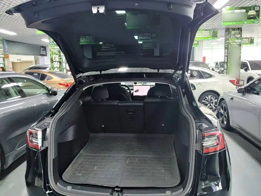Tesla Model Y — миниатюра 19