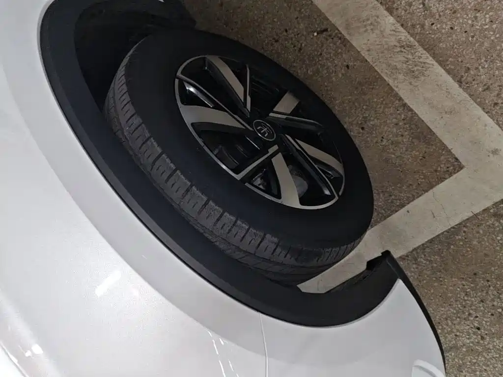 BYD Pro New Energy — миниатюра 23