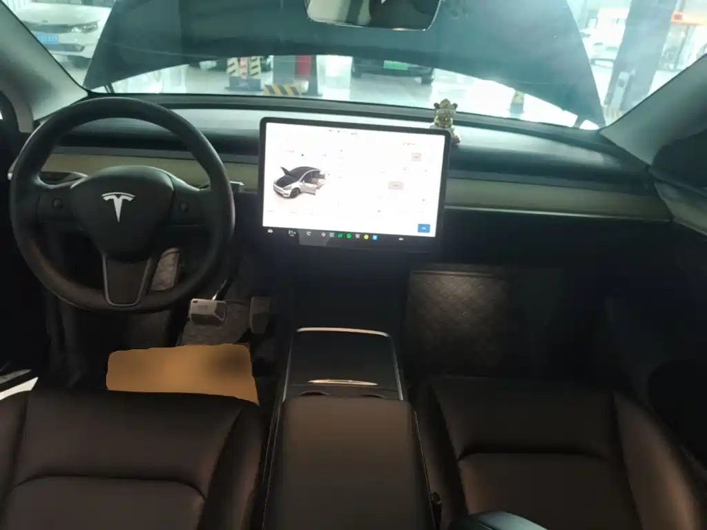 Tesla Model Y — миниатюра 10