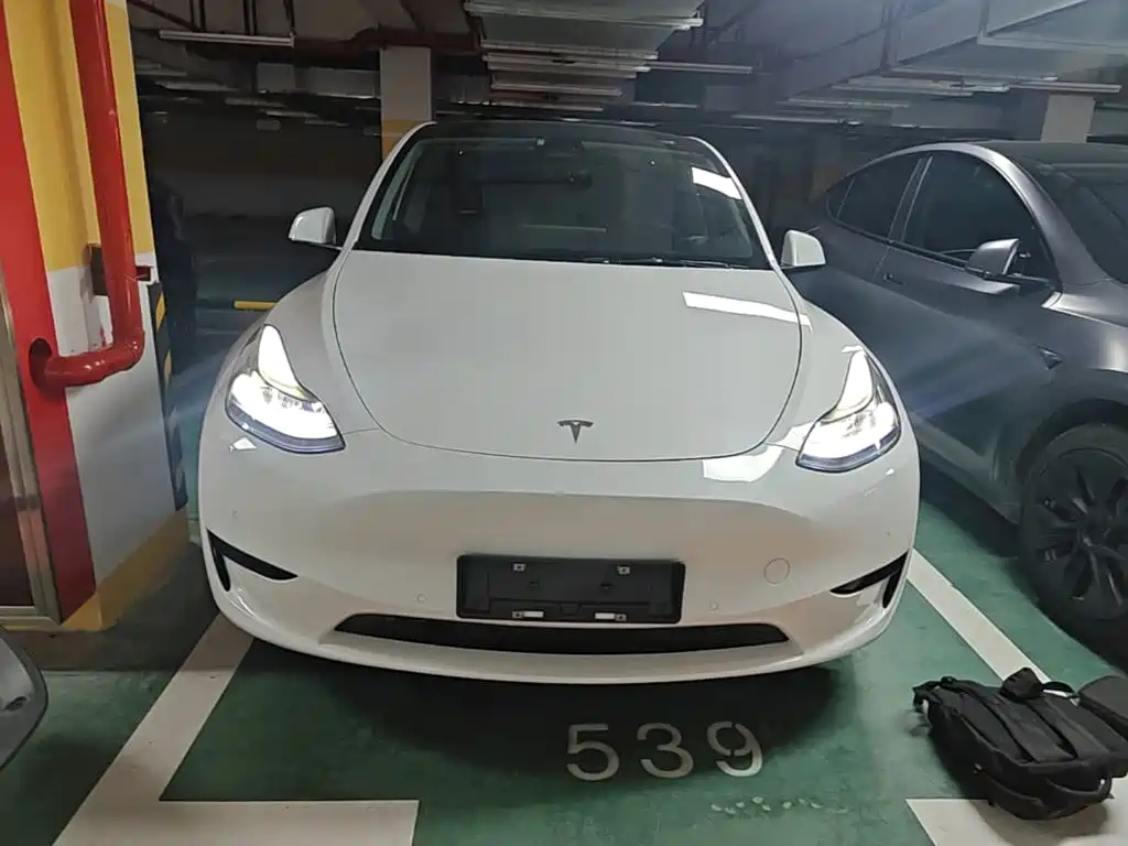 Tesla Model Y — миниатюра 3