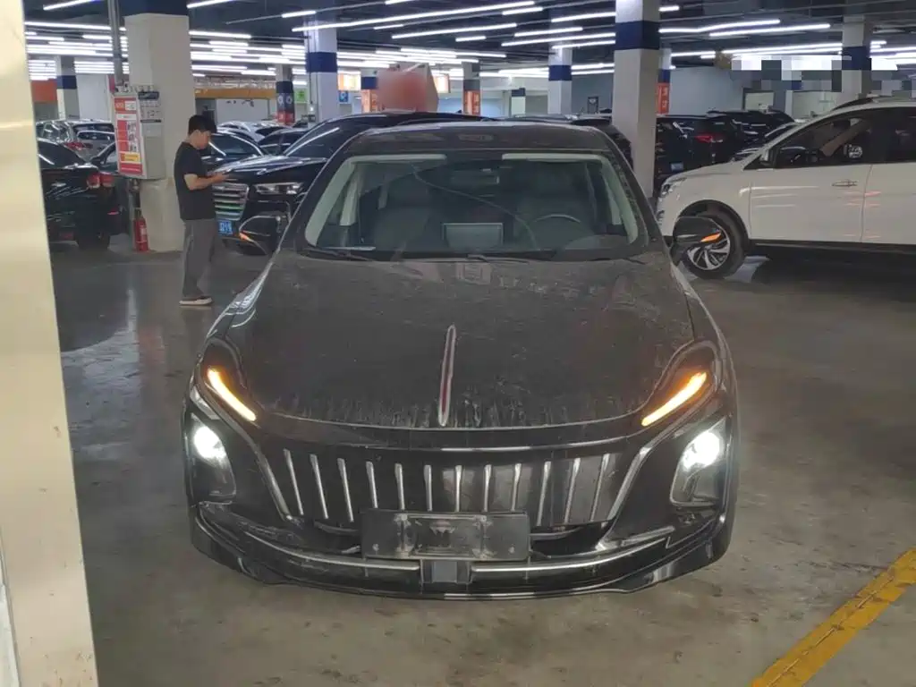 Hongqi Hongqi E-QM5 — миниатюра 3