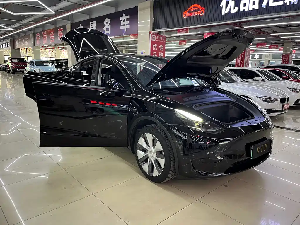 Tesla Model Y — миниатюра 16
