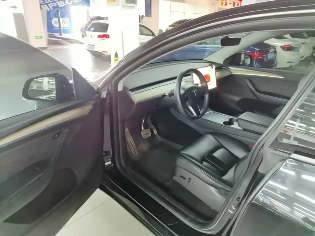 Tesla Model Y — миниатюра 16