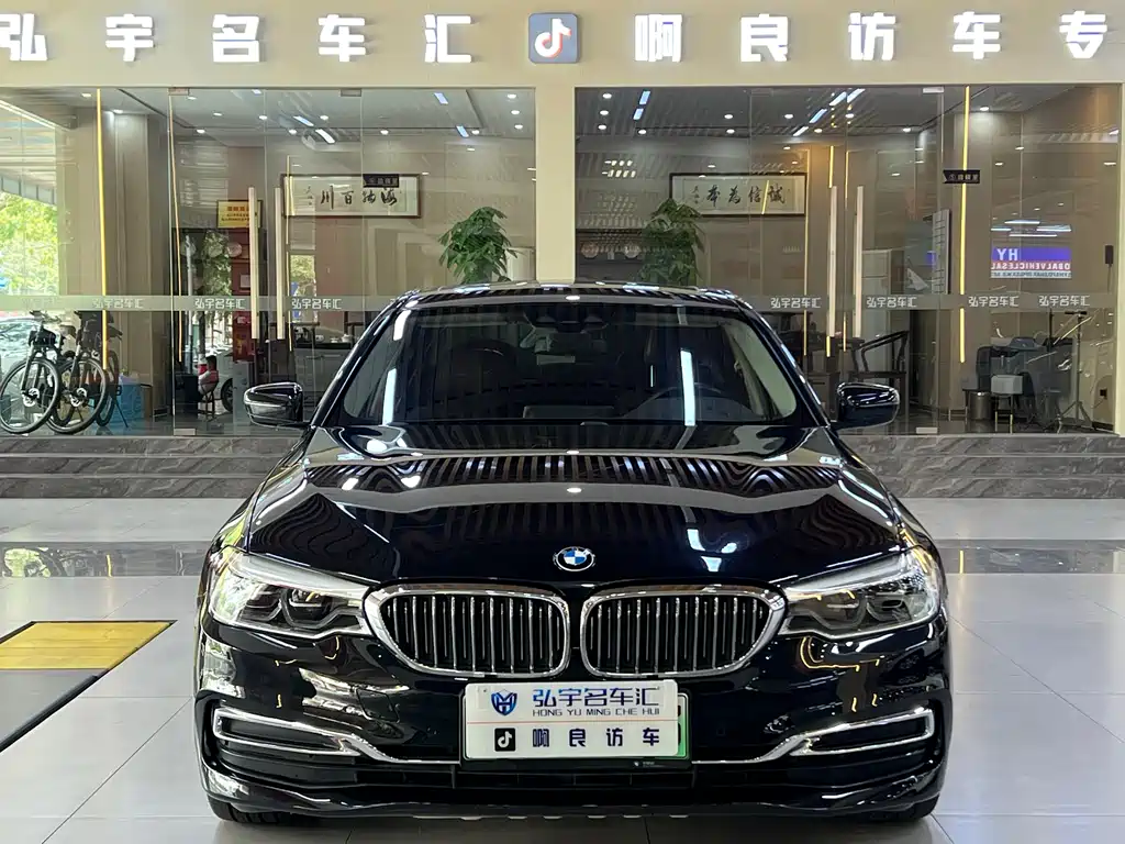 BMW 5 Series New Energy 2019
