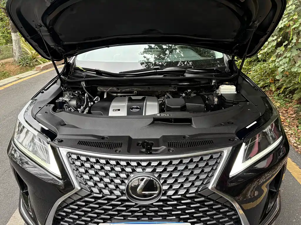 Lexus RX — миниатюра 23