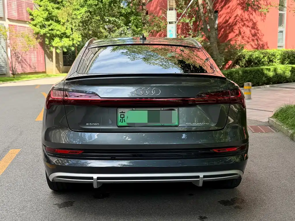 Audi e-tron (Import) — миниатюра 12