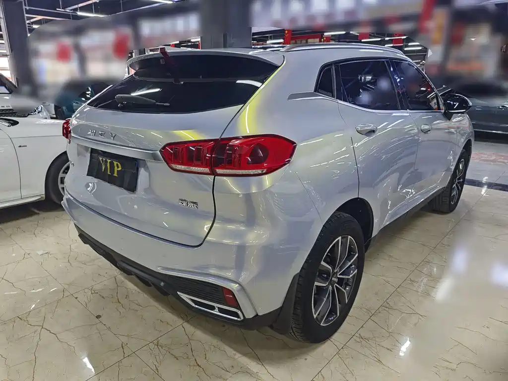 WEI PAI WEI BRAND VV5