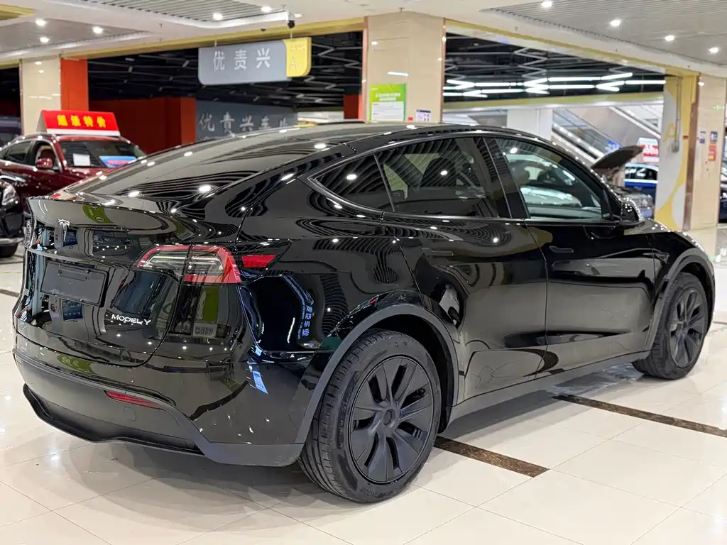 Tesla Model Y — миниатюра 9