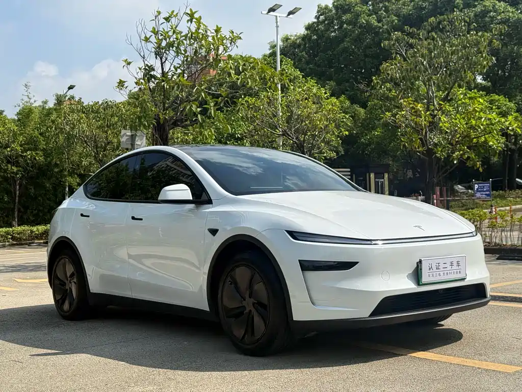Tesla Model Y — миниатюра 3