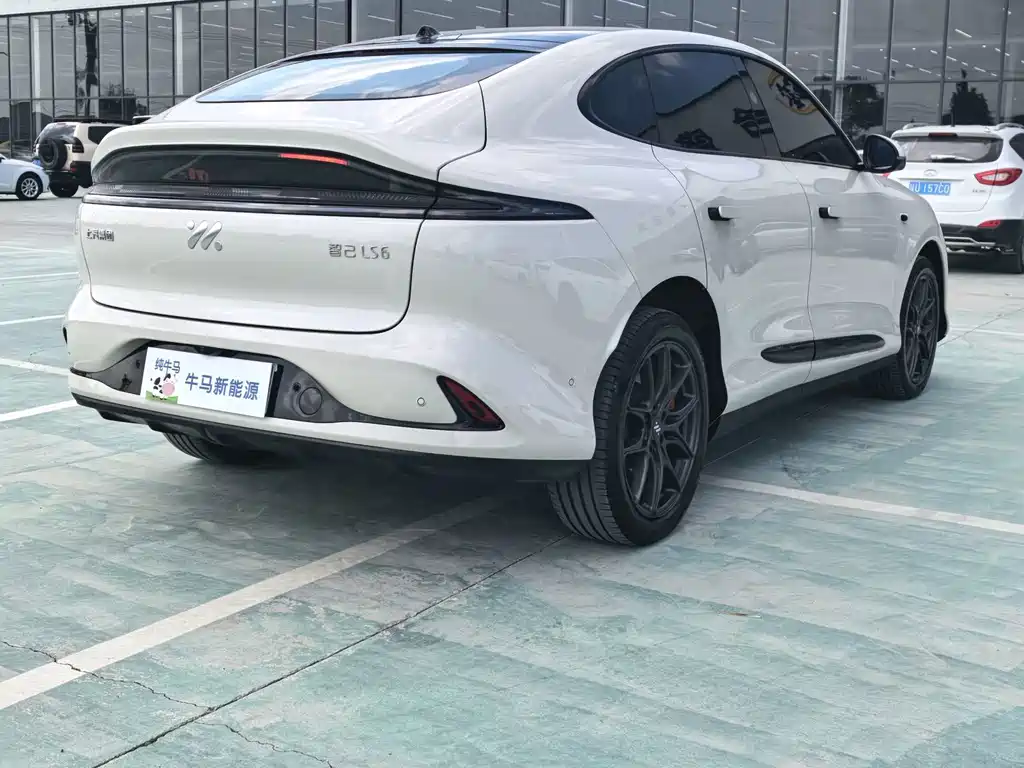 IM IM LS6 — миниатюра 4