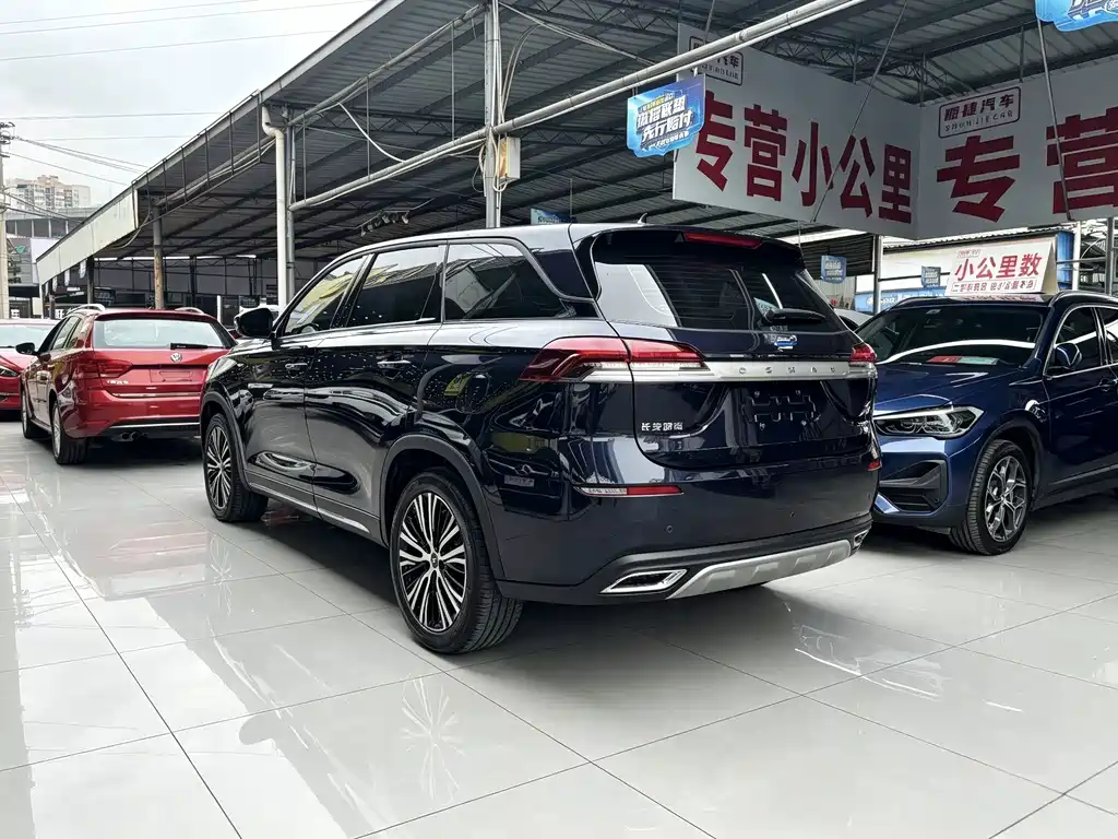 Oshan Oushang X7 — миниатюра 9