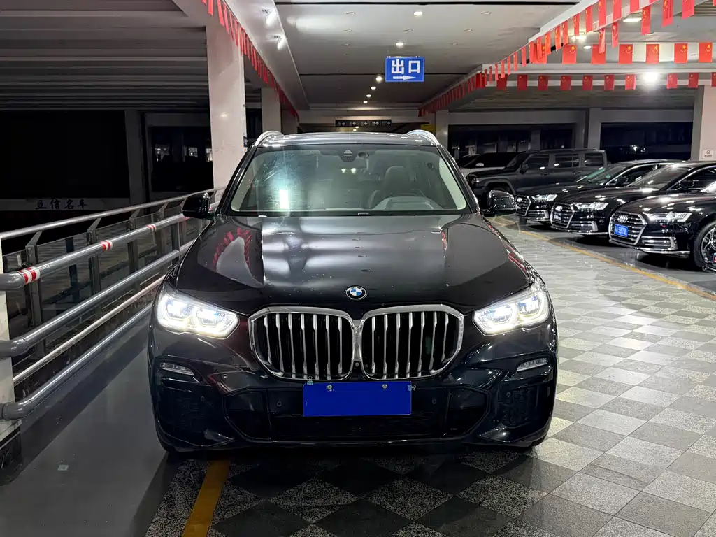 BMW X5 (Import) — миниатюра 2