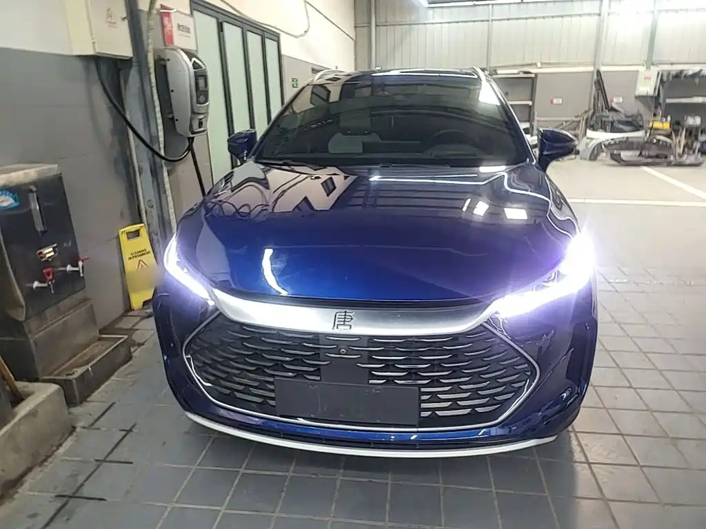 BYD Tang New Energy — миниатюра 3