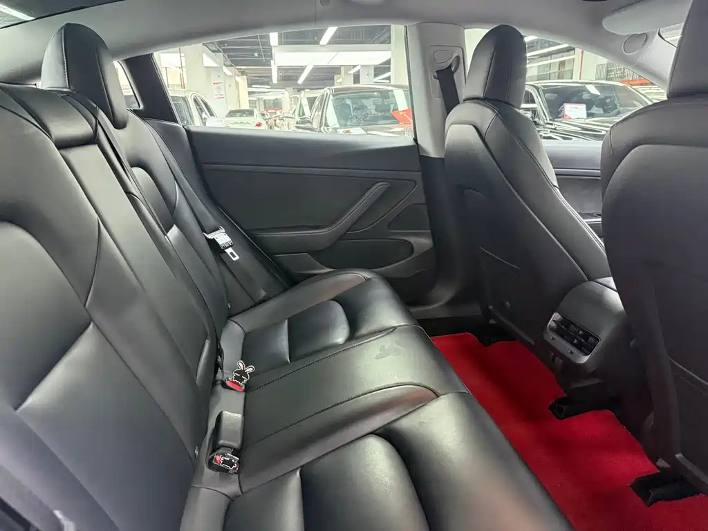 Tesla Model 3 — миниатюра 19