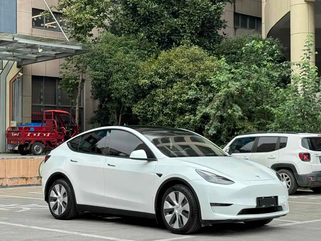 Tesla Model Y — миниатюра 3