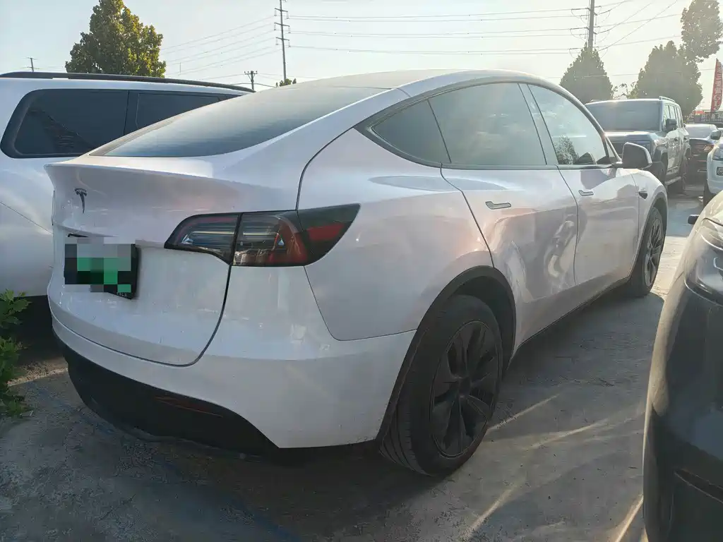 Tesla Model Y — миниатюра 7