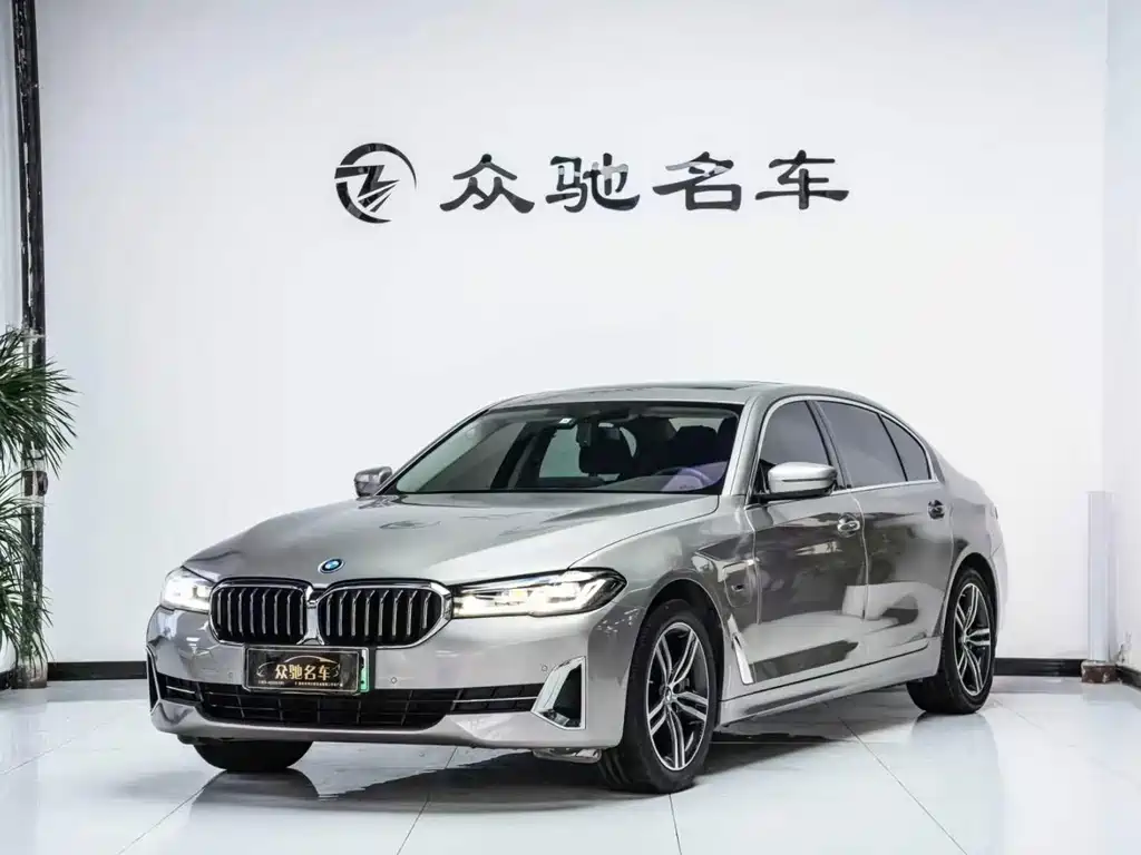 BMW 5 Series New Energy 2022