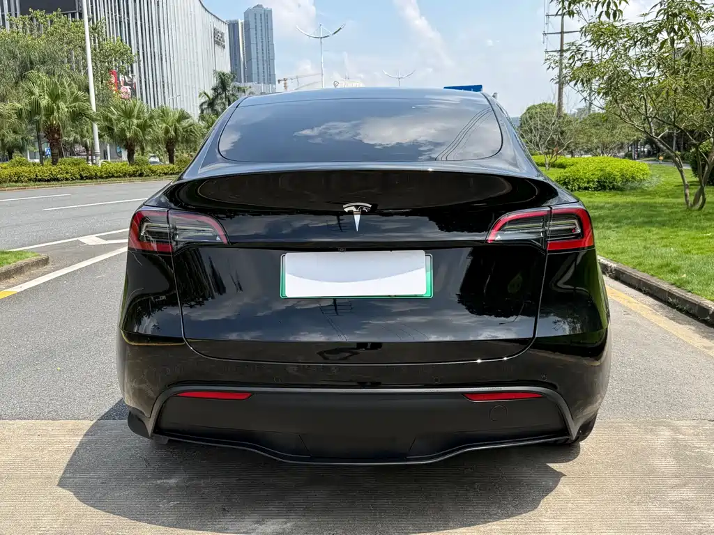 Tesla Model Y — миниатюра 5