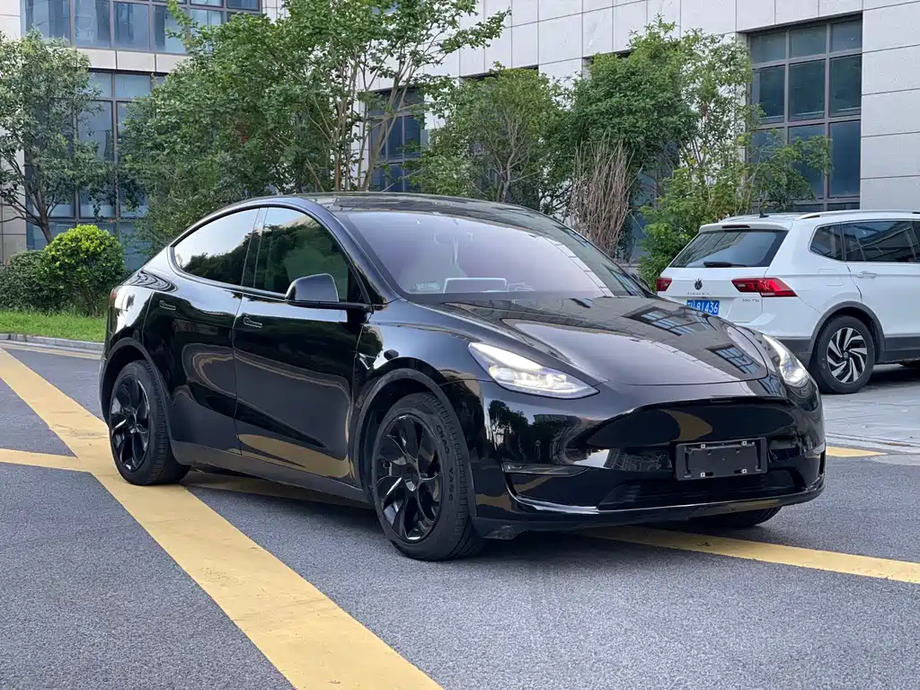 Tesla Model Y — миниатюра 2