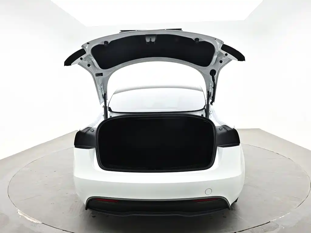 Tesla Model 3 — миниатюра 8