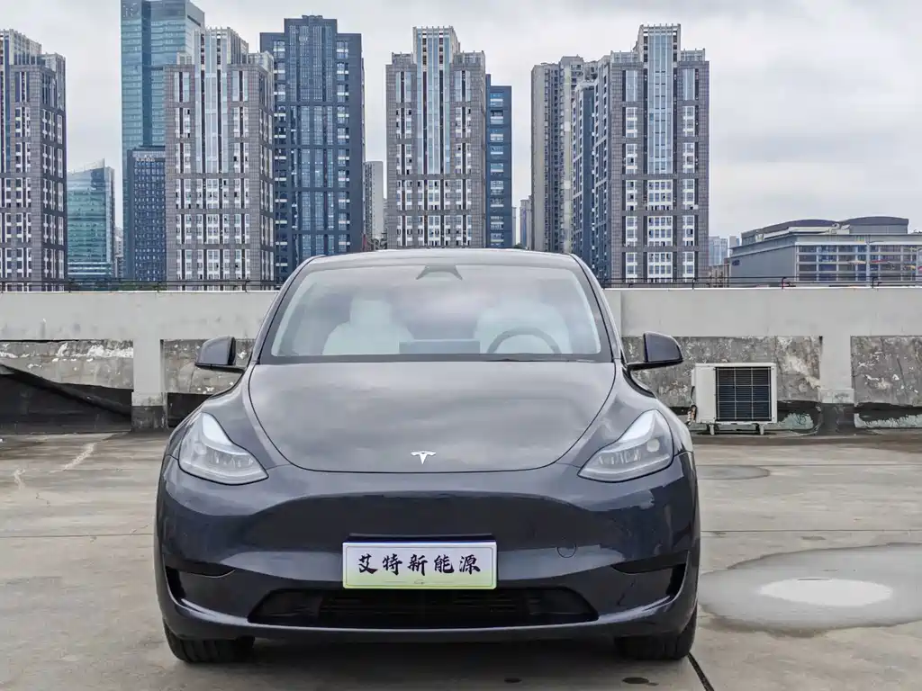 Tesla Model Y — миниатюра 2