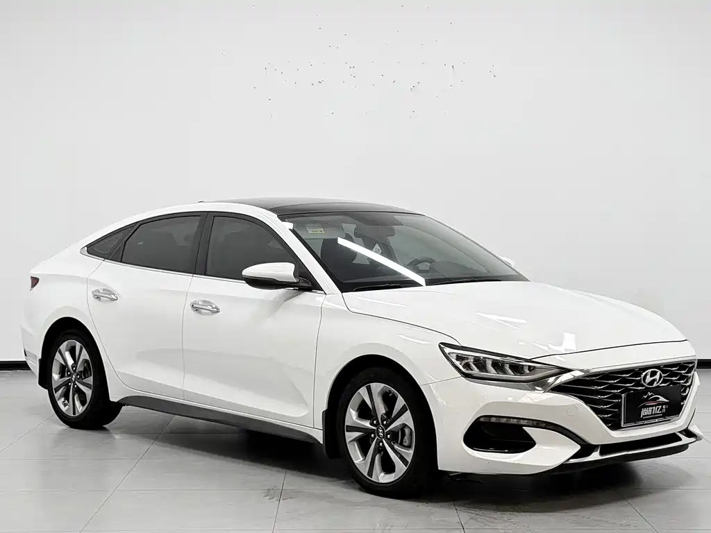 Hyundai Fista — миниатюра 3