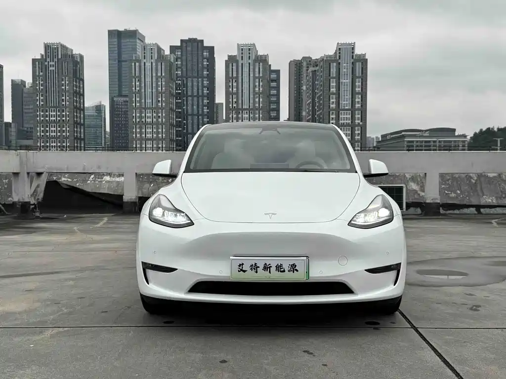 Tesla Model Y — миниатюра 2