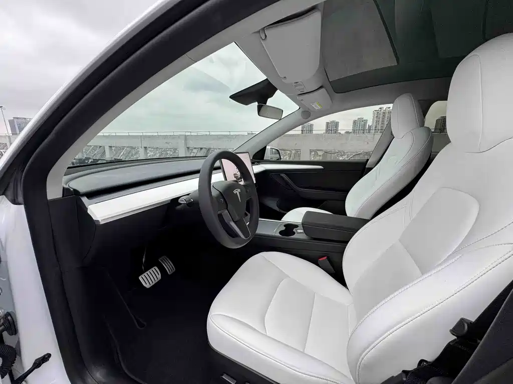 Tesla Model Y — миниатюра 8