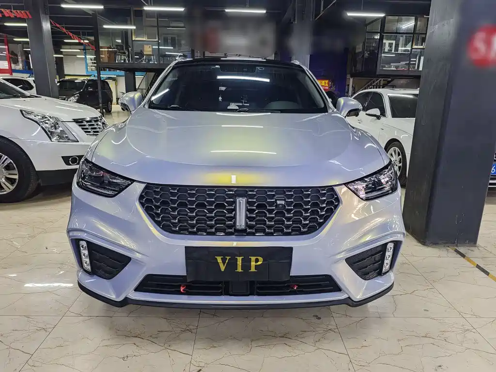 WEI PAI WEI BRAND VV5