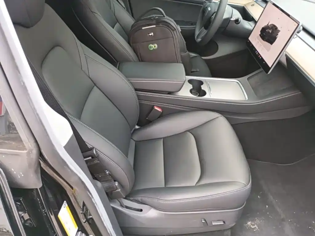 Tesla Model Y — миниатюра 25