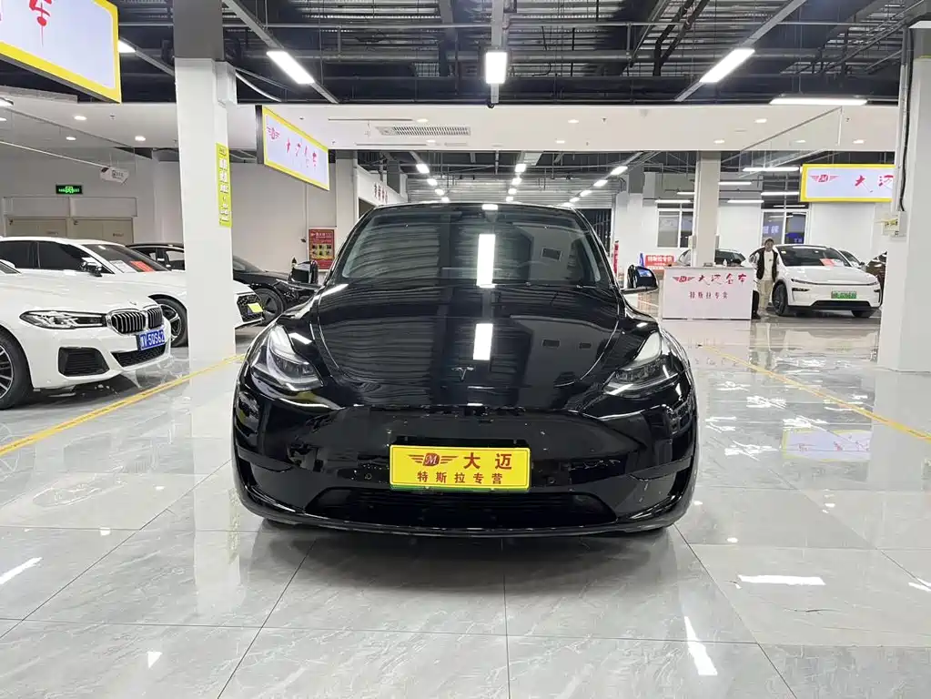 Tesla Model Y - фото 2