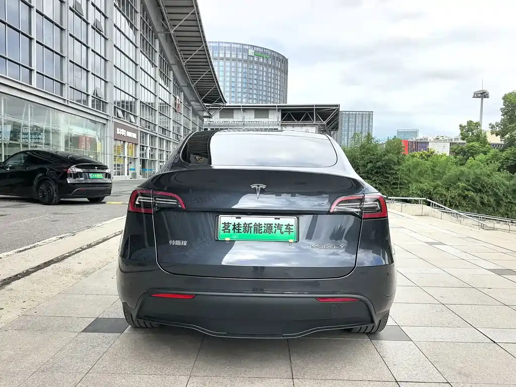 Tesla Model Y — миниатюра 10
