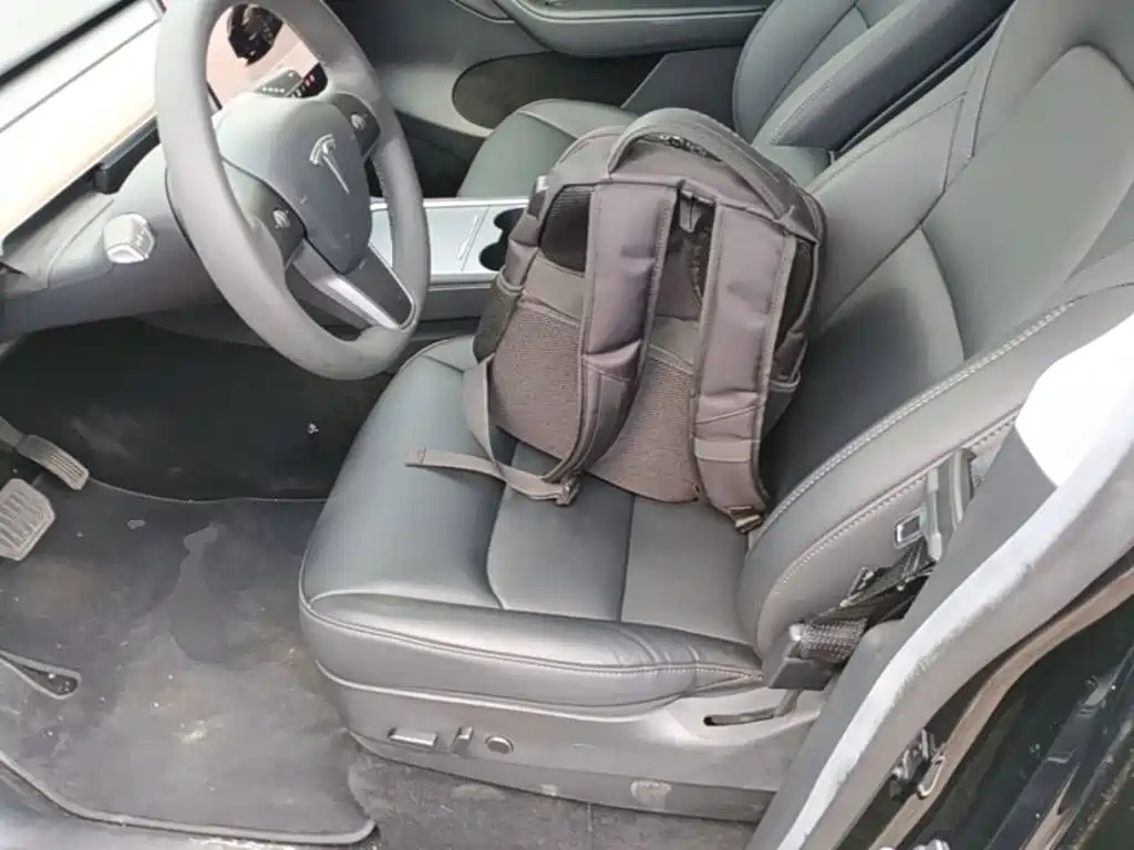 Tesla Model Y — миниатюра 15