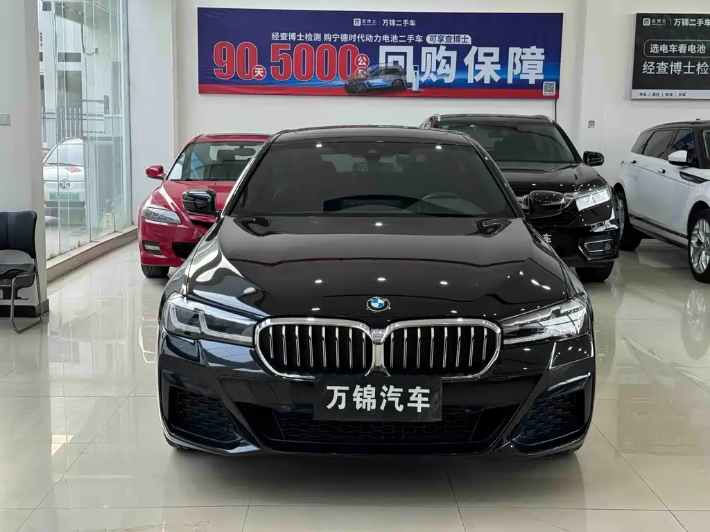 BMW 5 Series — миниатюра 2