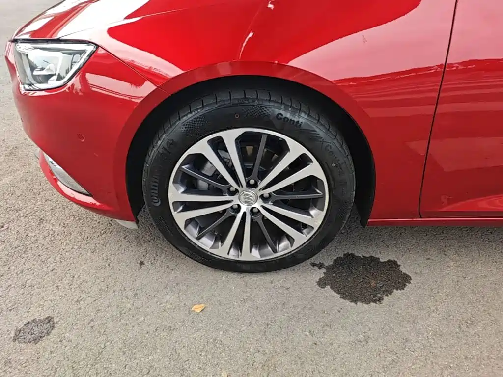 Buick Regal — миниатюра 23