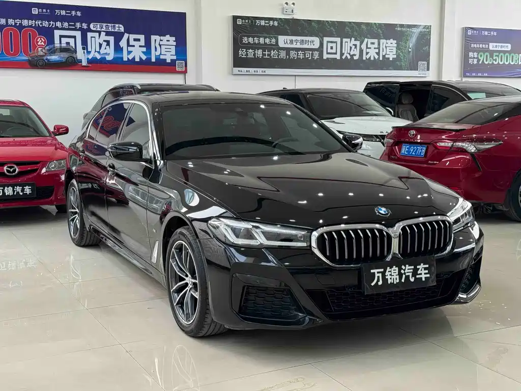 BMW 5 Series — миниатюра 3