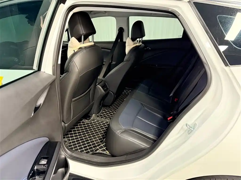 BUICK SLIGHTLY BLUE 6