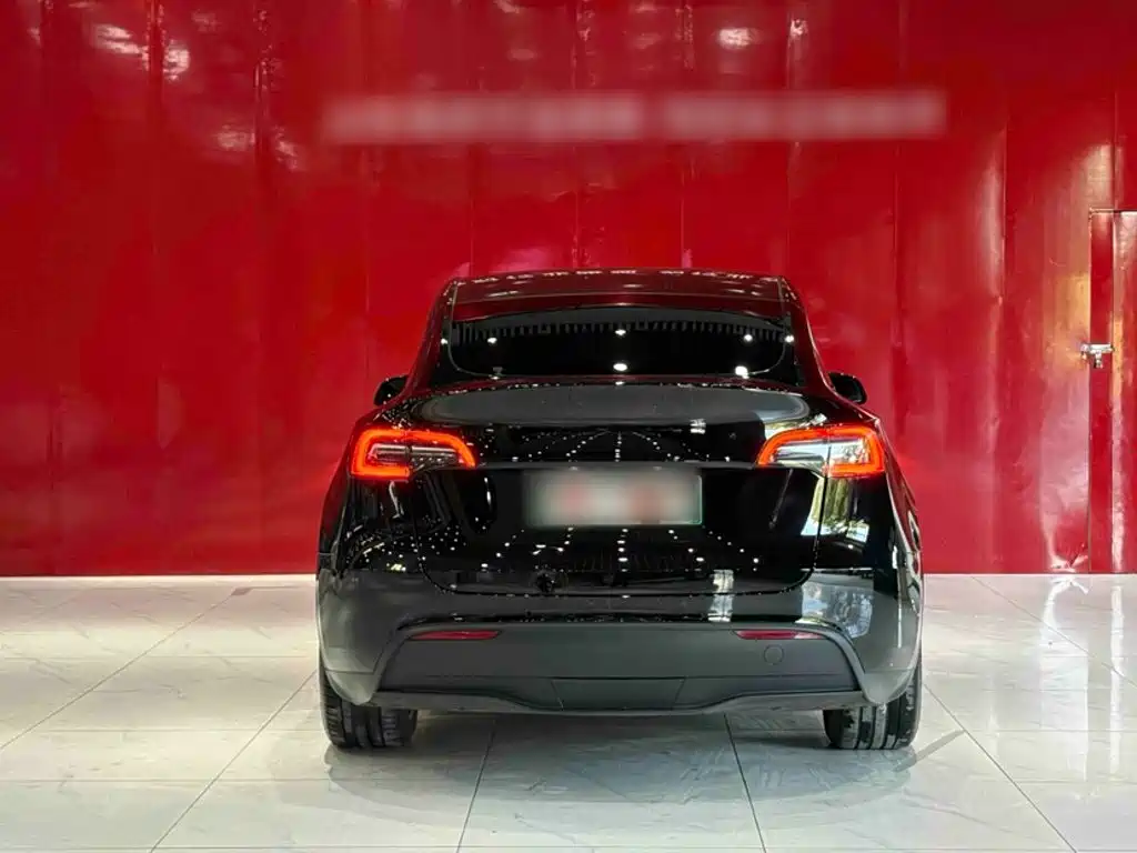 Tesla Model Y — миниатюра 6