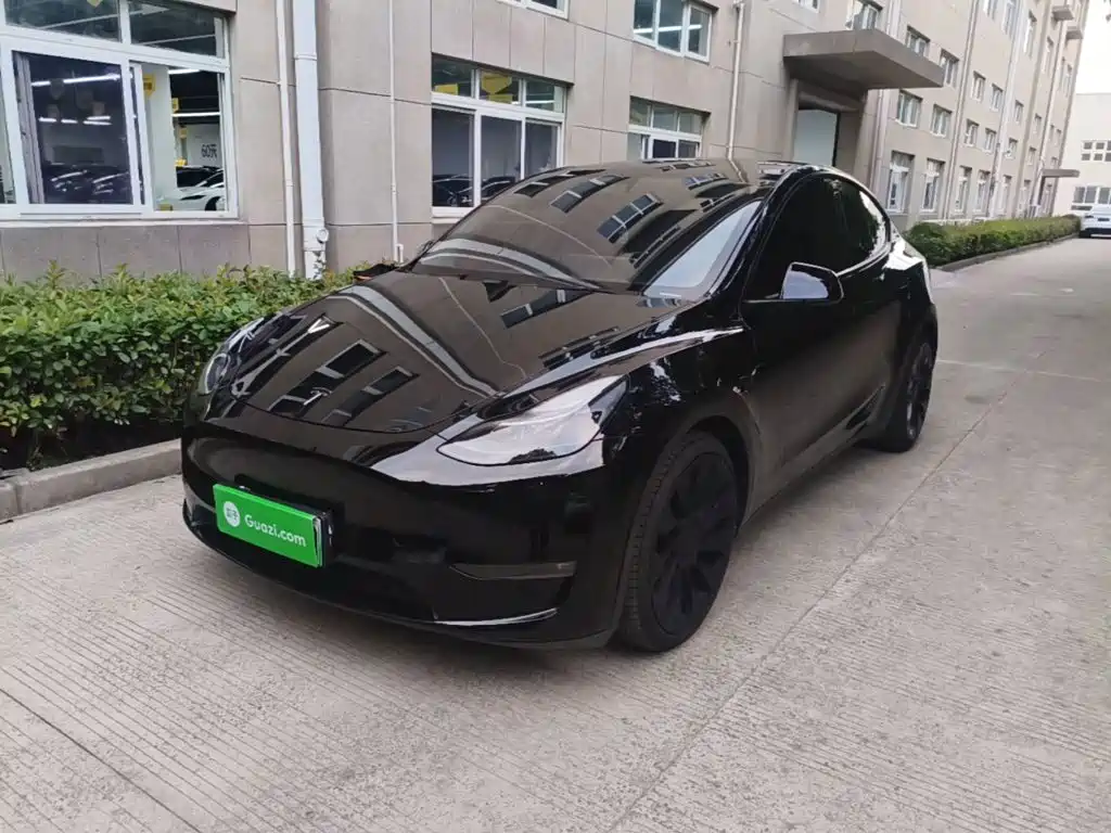 Tesla Model Y — миниатюра 2