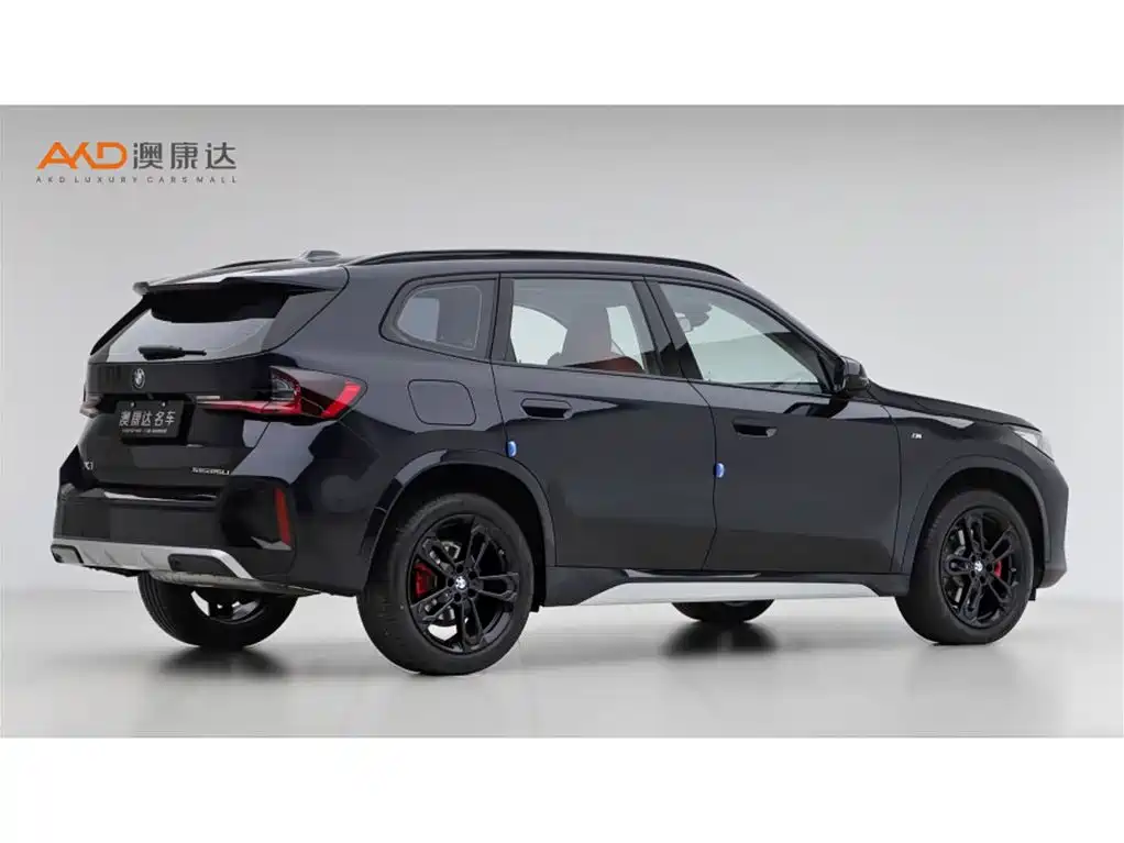 BMW X1 — миниатюра 3