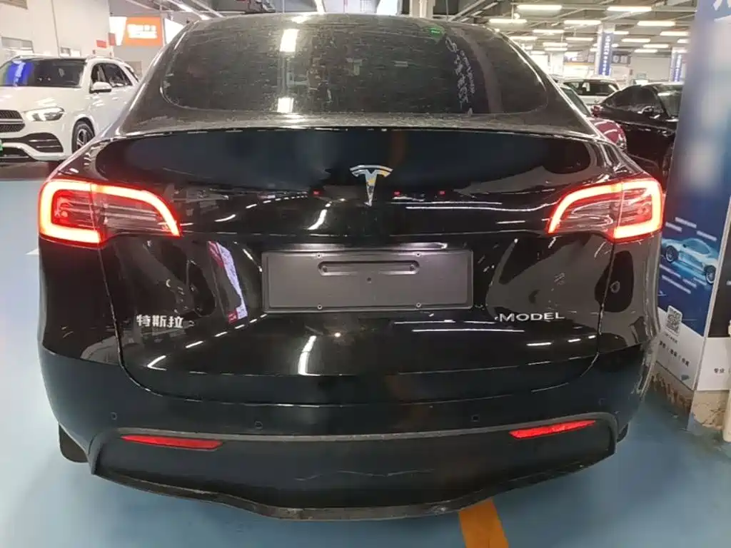 Tesla Model Y — миниатюра 6
