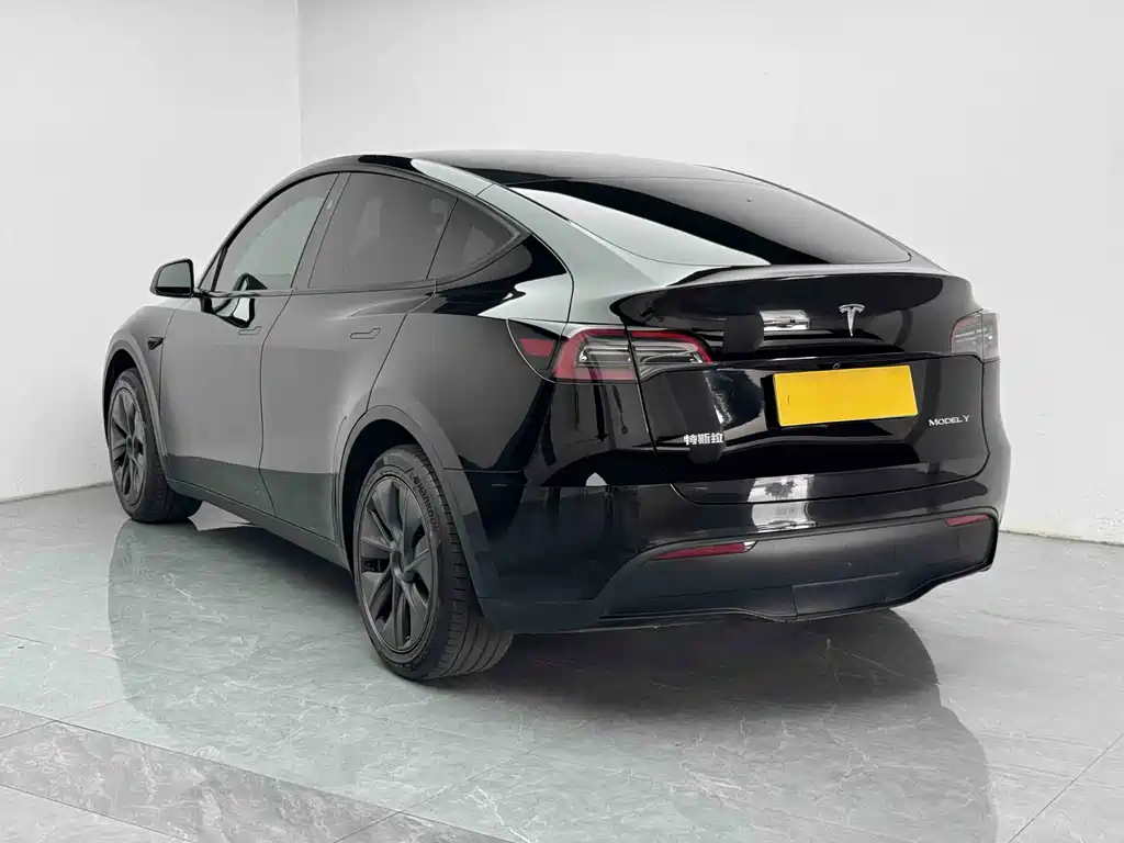 Tesla Model Y — миниатюра 5