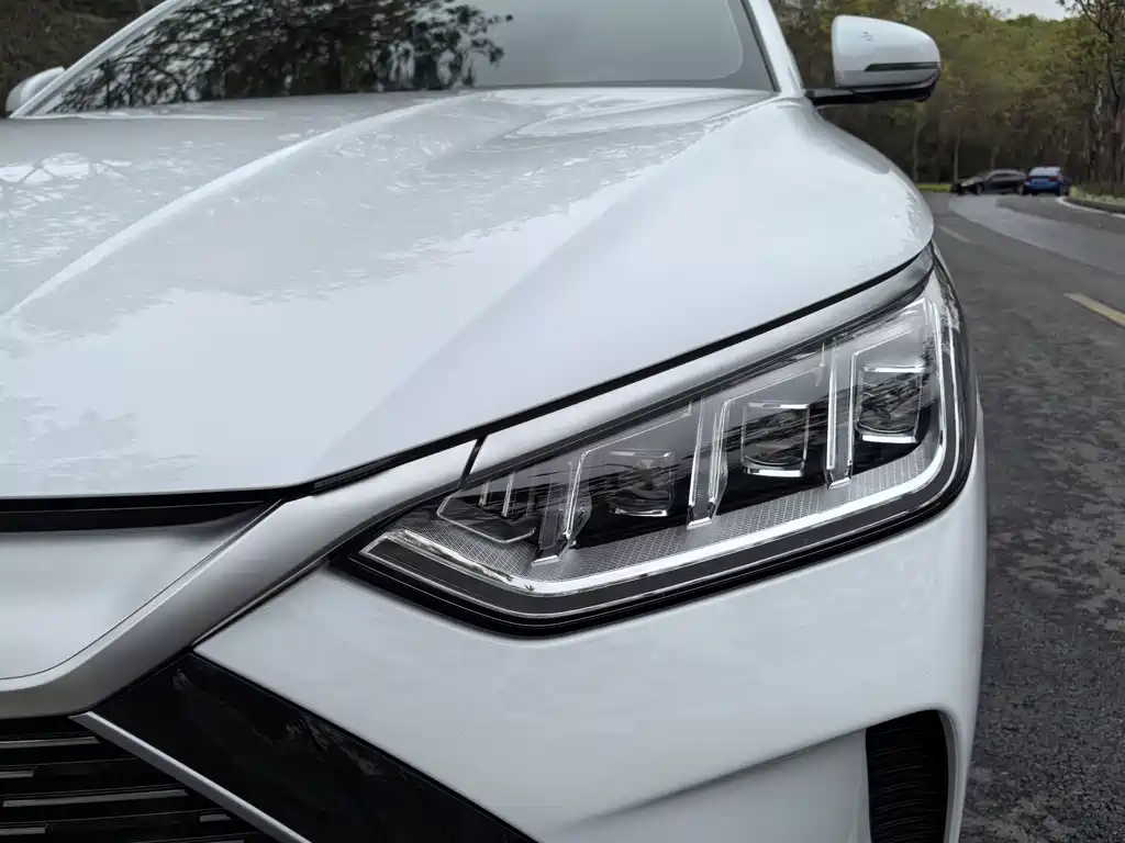 BYD SONGJIANG NEW ENERGY