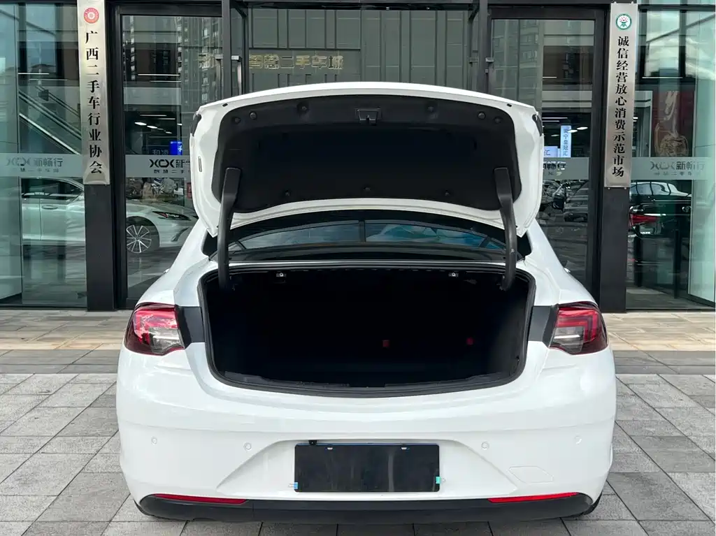 Buick Regal — миниатюра 17