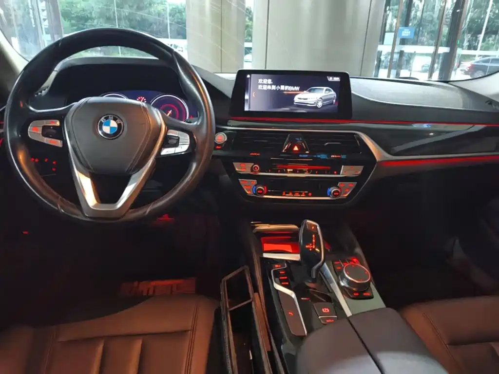 BMW 5 Series — миниатюра 5