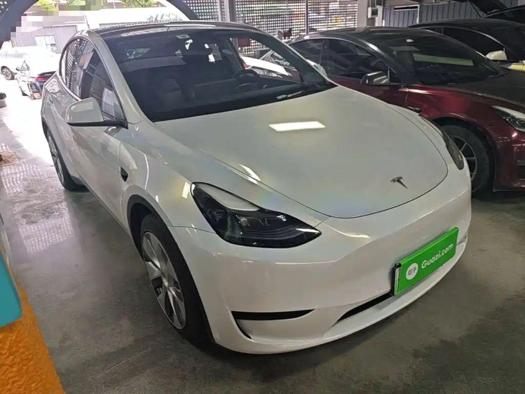 Tesla Model Y — миниатюра 4