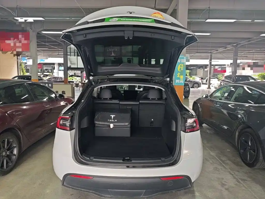 Tesla Model Y — миниатюра 19